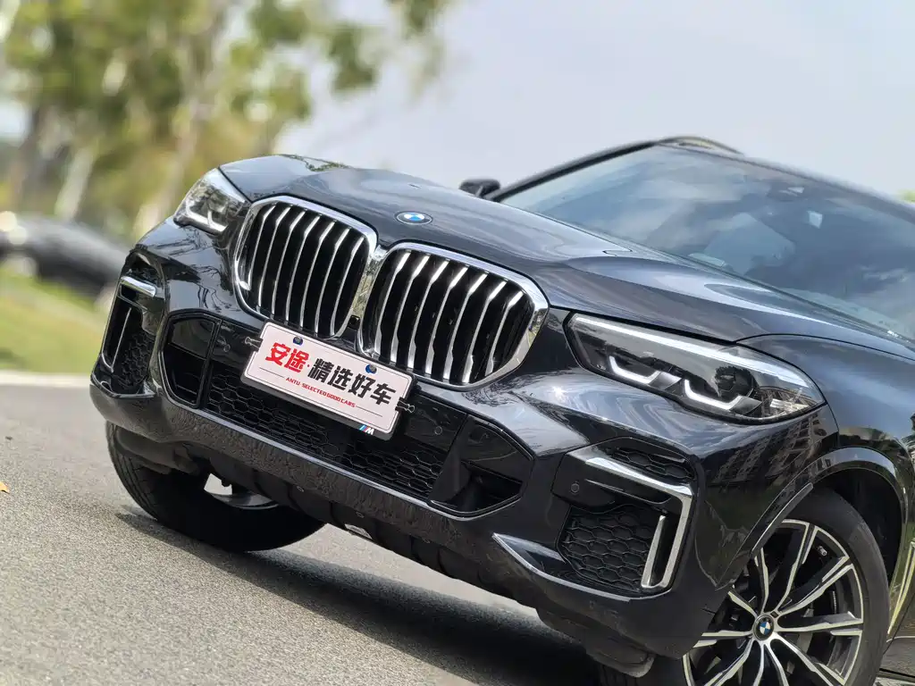BMW X5 2022 xDrive 30Li M Sport
