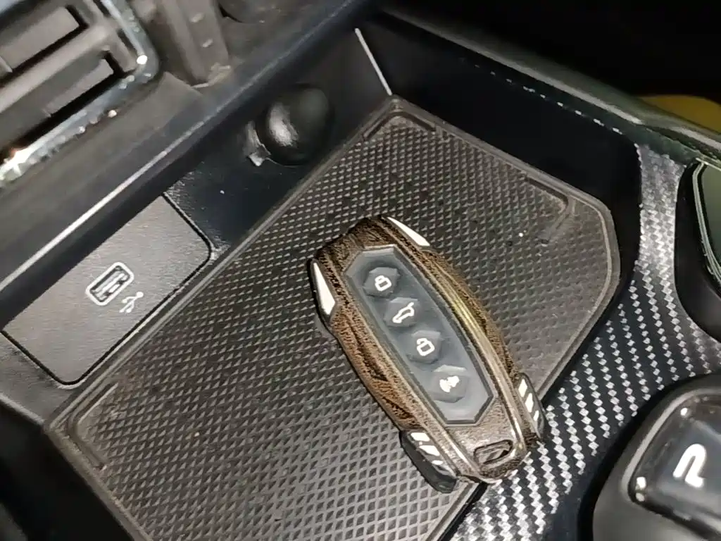 Haval Big Dog PLUS — миниатюра 9