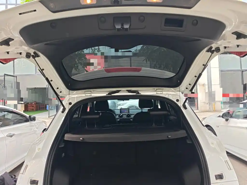 Fengguang Fengguang 500 — миниатюра 19