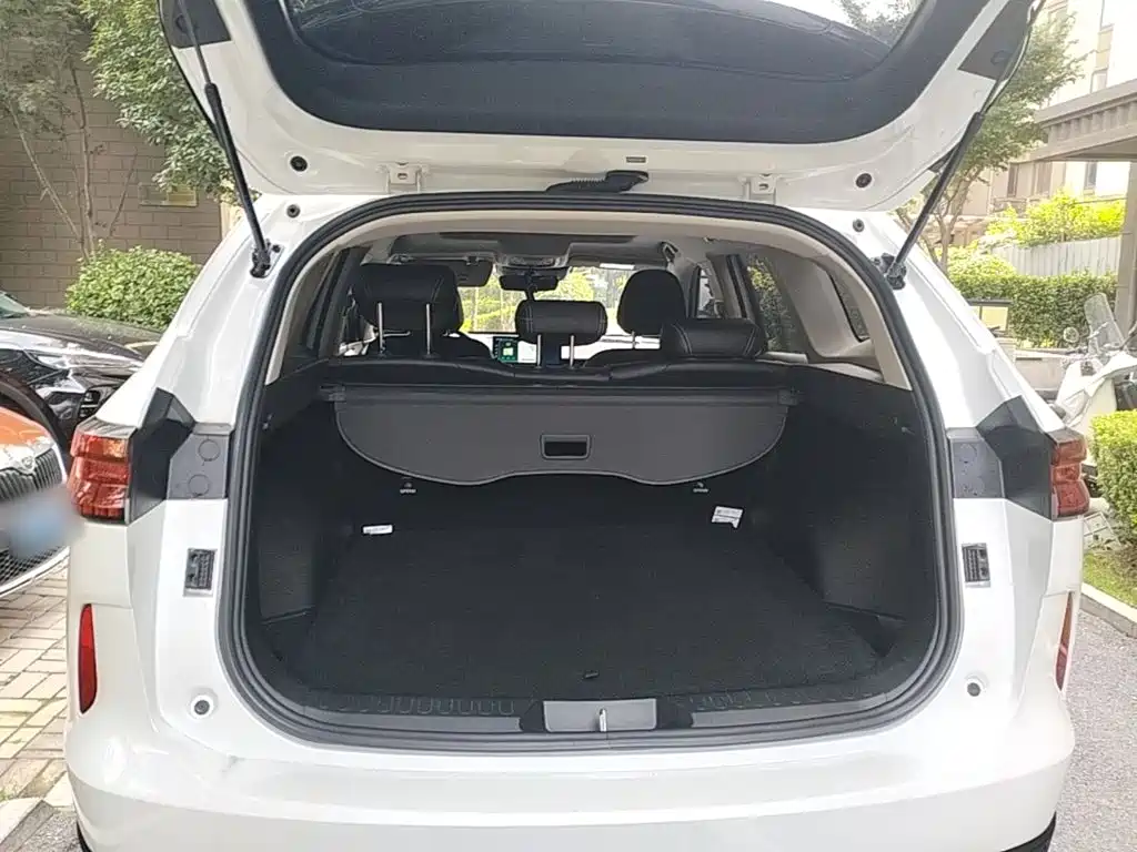 Haval H6 — миниатюра 19
