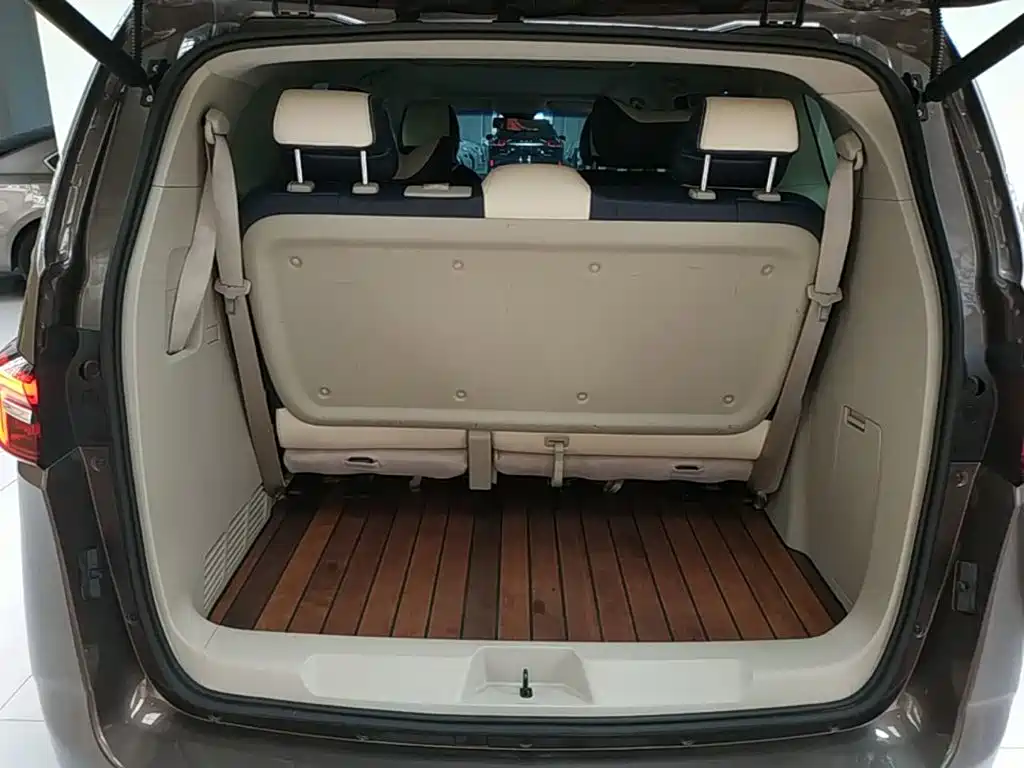 Buick GL8 — миниатюра 19