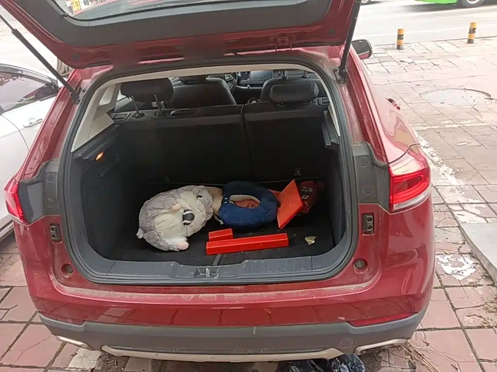 Haval H2s — миниатюра 19