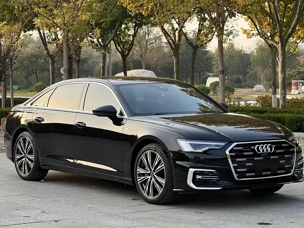 Audi A6L — миниатюра 11