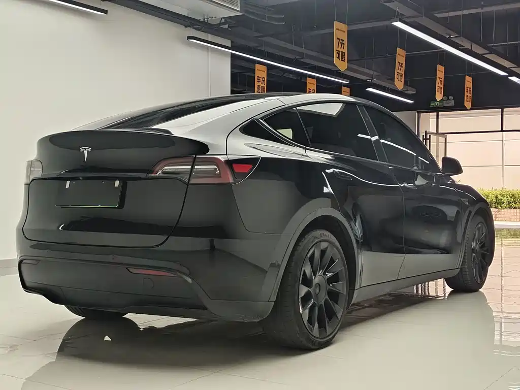 Tesla Model Y — миниатюра 4