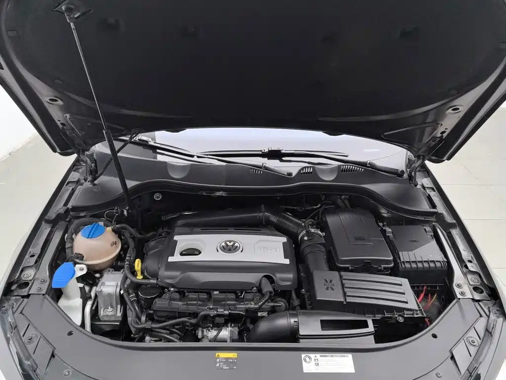 Volkswagen Magotan (Import) — миниатюра 6