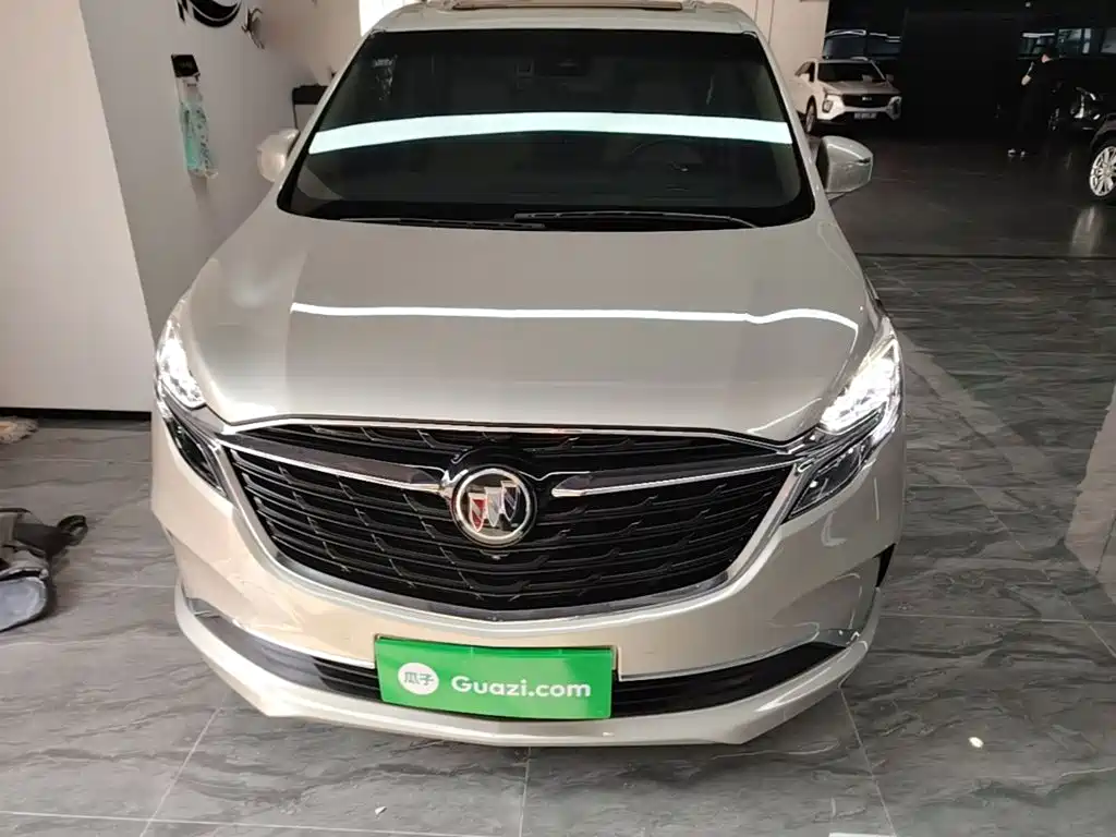 Buick GL8 — миниатюра 3