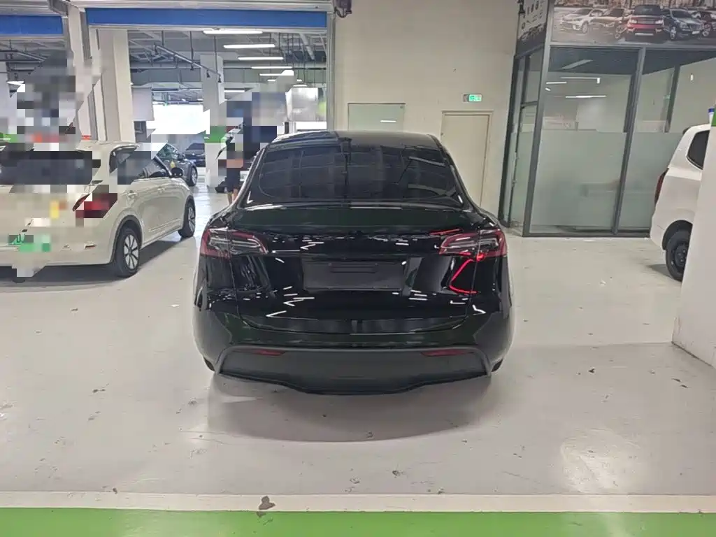 Tesla Model Y — миниатюра 6