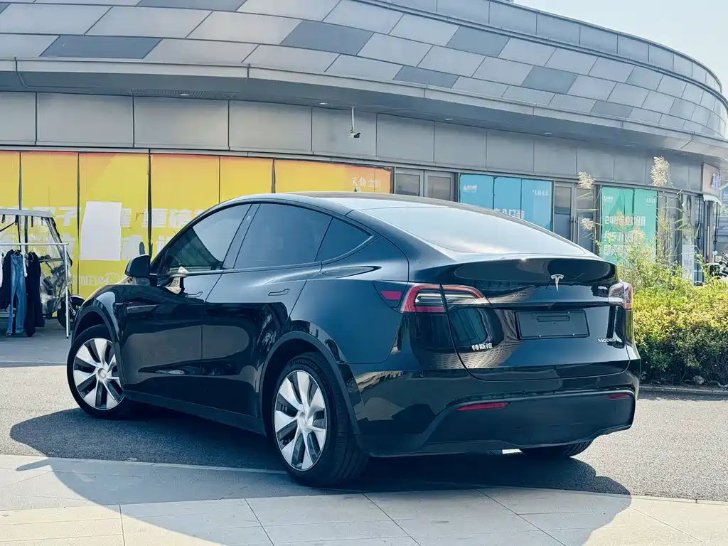 Tesla Model Y — миниатюра 4