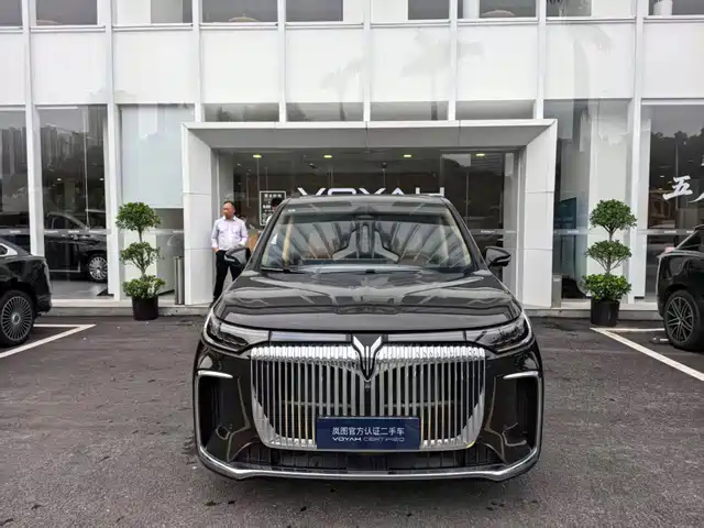 2024 Voyah Dream