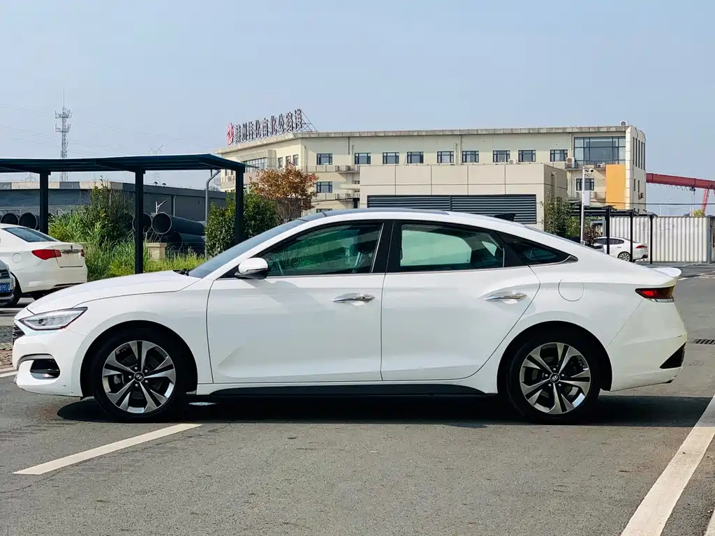 Hyundai Fista — миниатюра 7