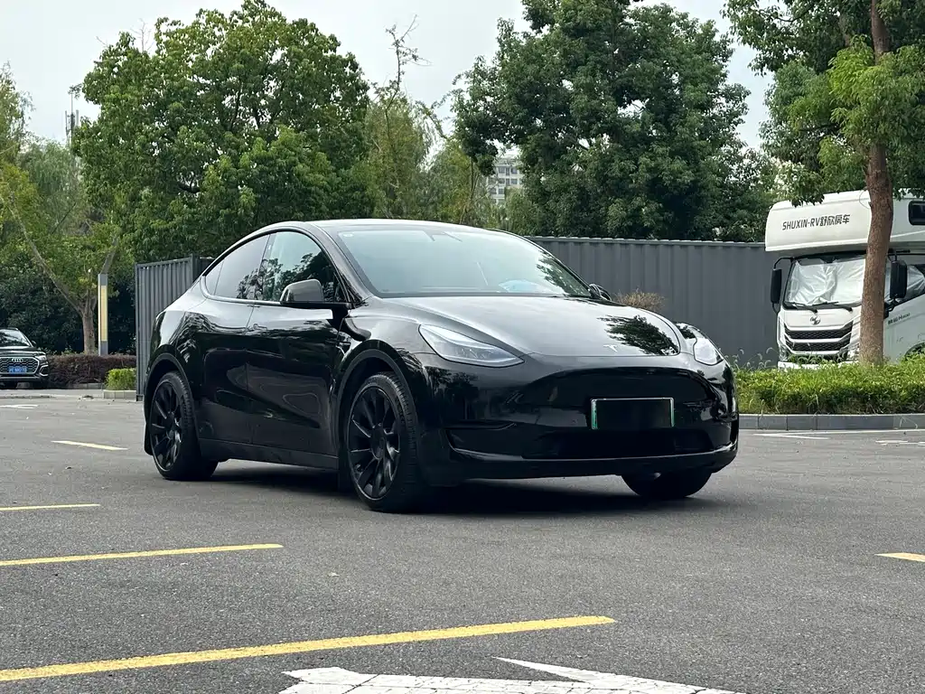 Tesla Model Y — миниатюра 3