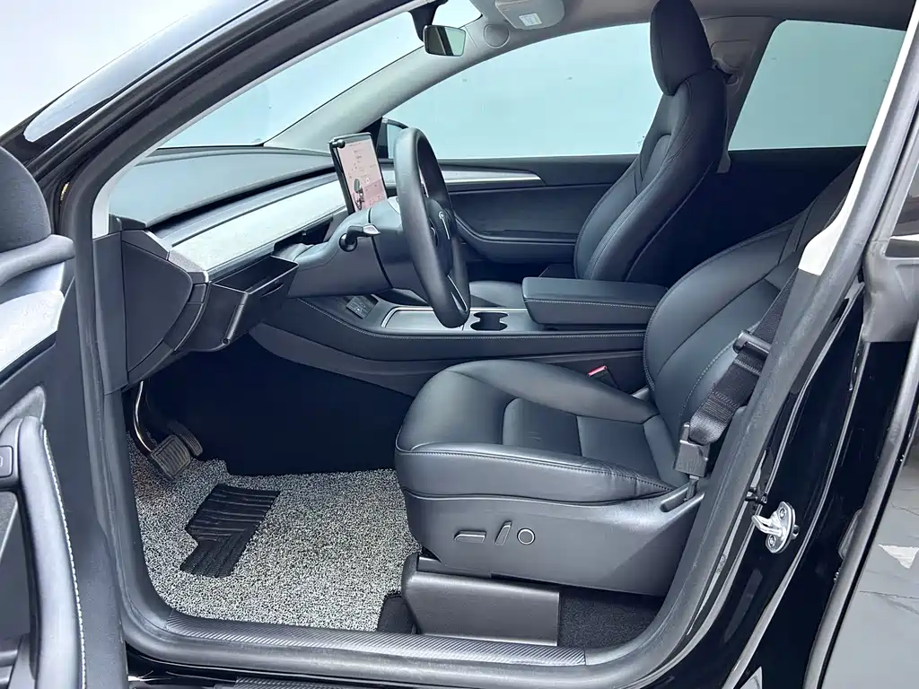 Tesla Model Y — миниатюра 8