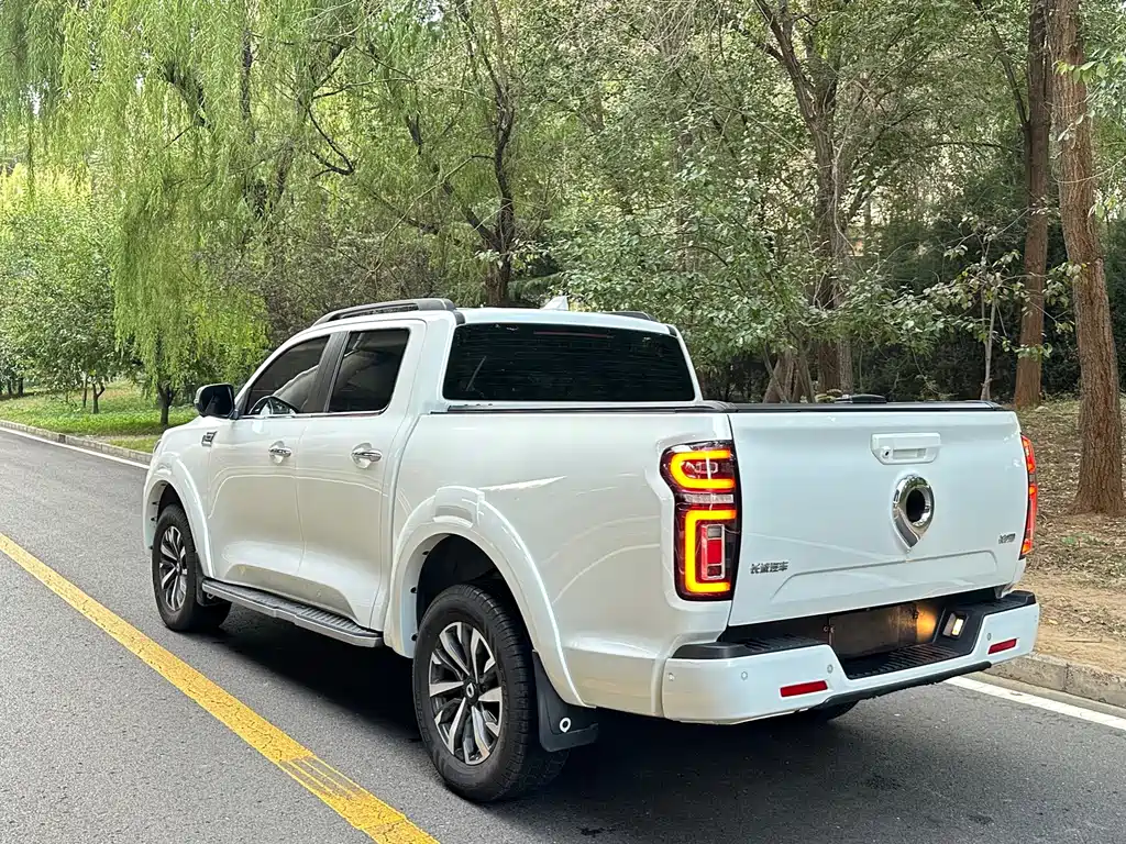 Great Wall Pao — миниатюра 10