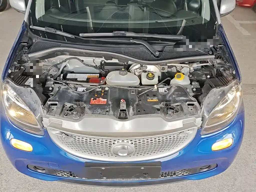 smart Smart Forfour — миниатюра 20