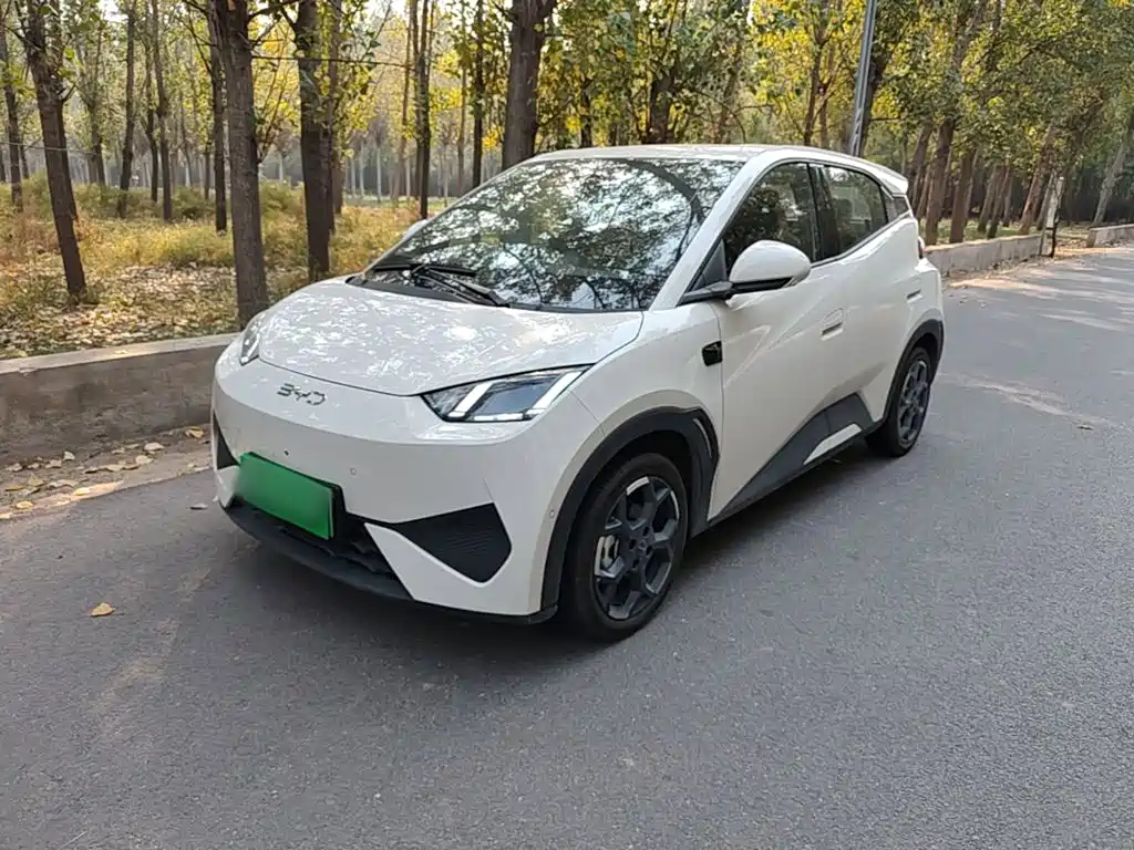 BYD Seagull — миниатюра 2