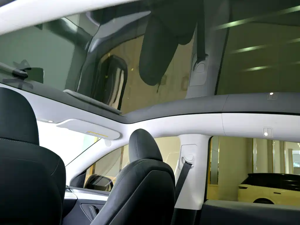 Tesla Model Y — миниатюра 18