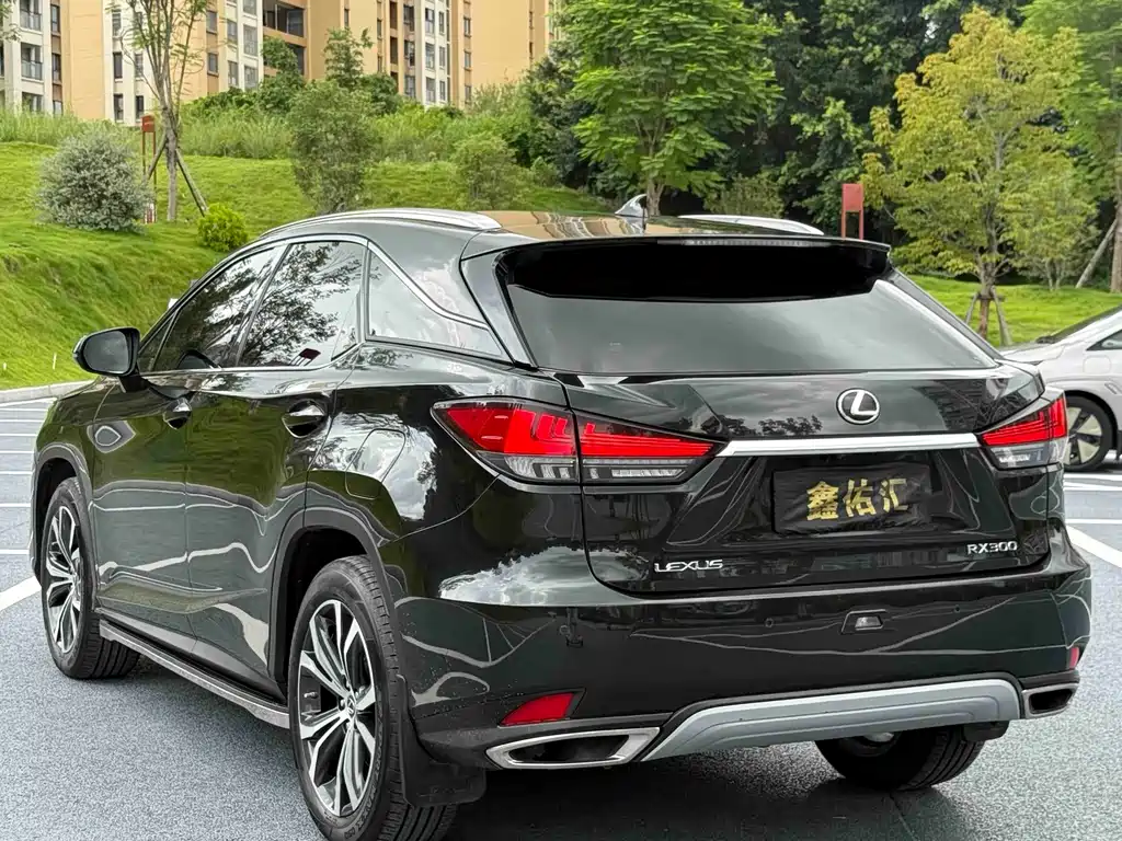 Lexus RX — миниатюра 8