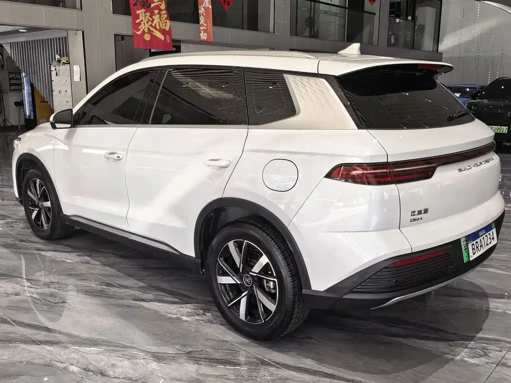 BYD Pro New Energy — миниатюра 22