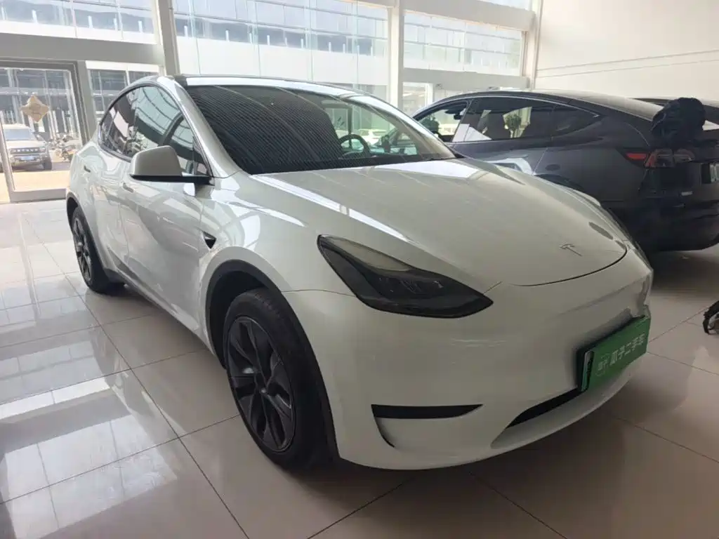 Tesla Model Y — миниатюра 4