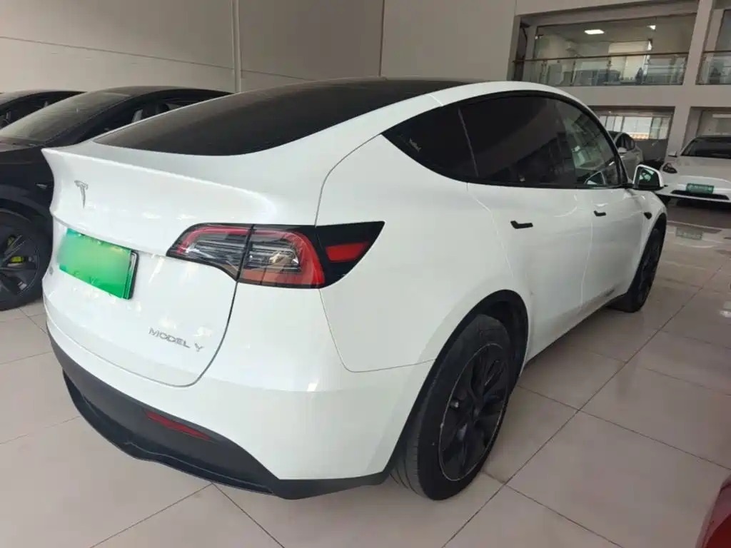 Tesla Model Y — миниатюра 7