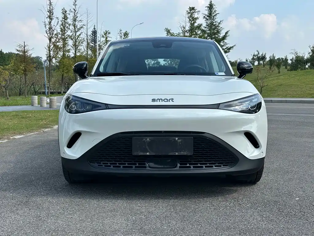 smart Smart #3 — миниатюра 2