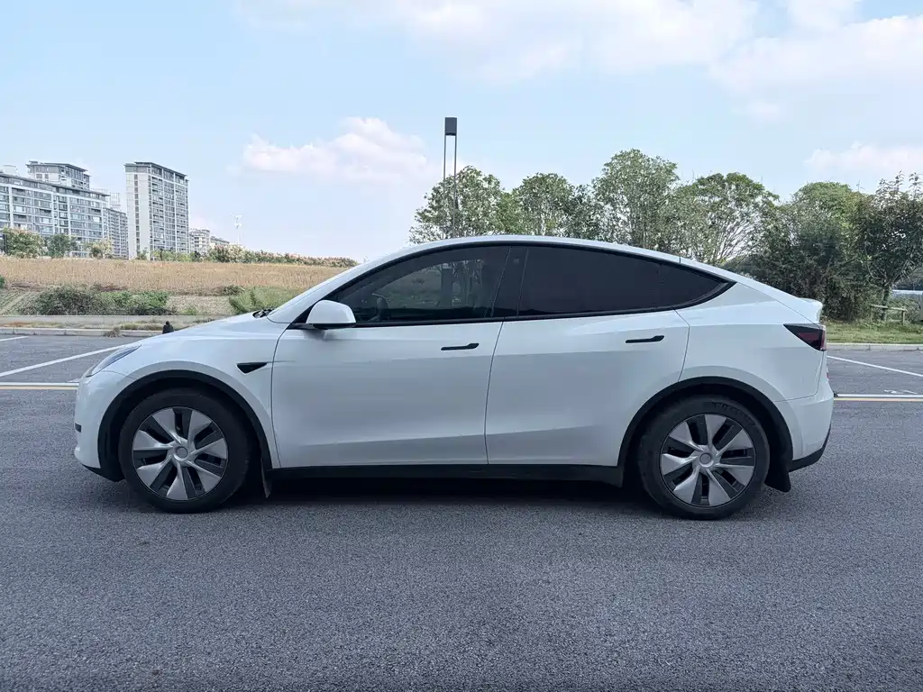 Tesla Model Y — миниатюра 3