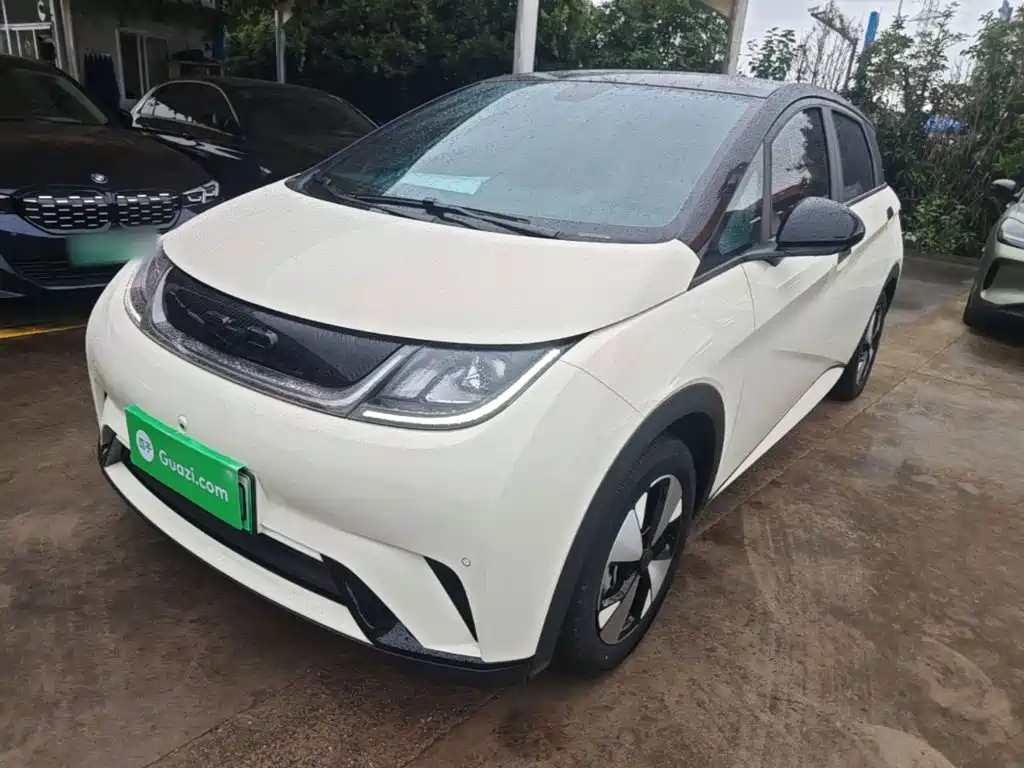 BYD Dolphin — миниатюра 2