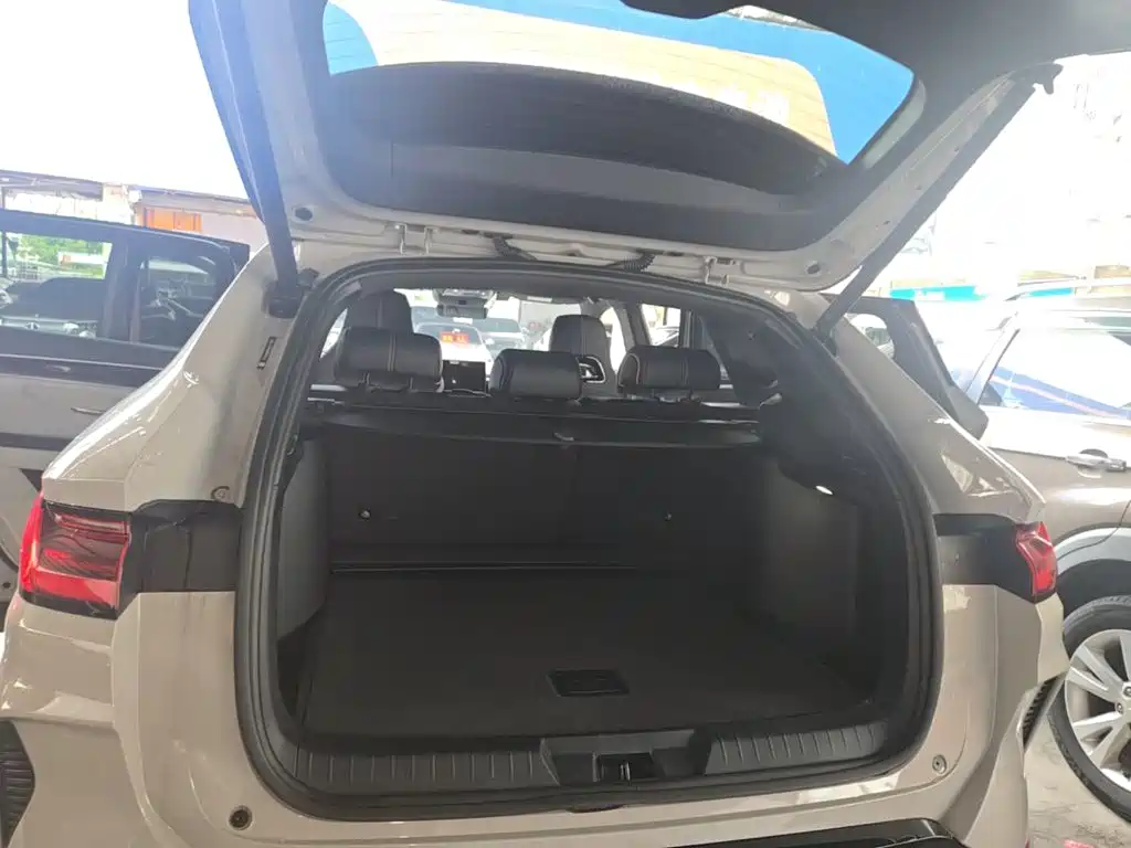 BYD PLUS New Energy — миниатюра 19