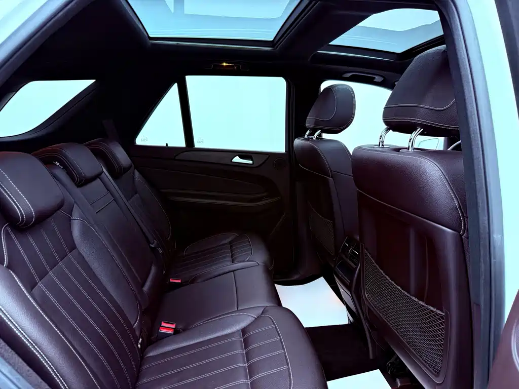 Mercedes-Benz 奔驰GLE(进口) — миниатюра 18