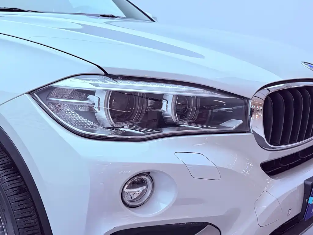 BMW X6 — миниатюра 29