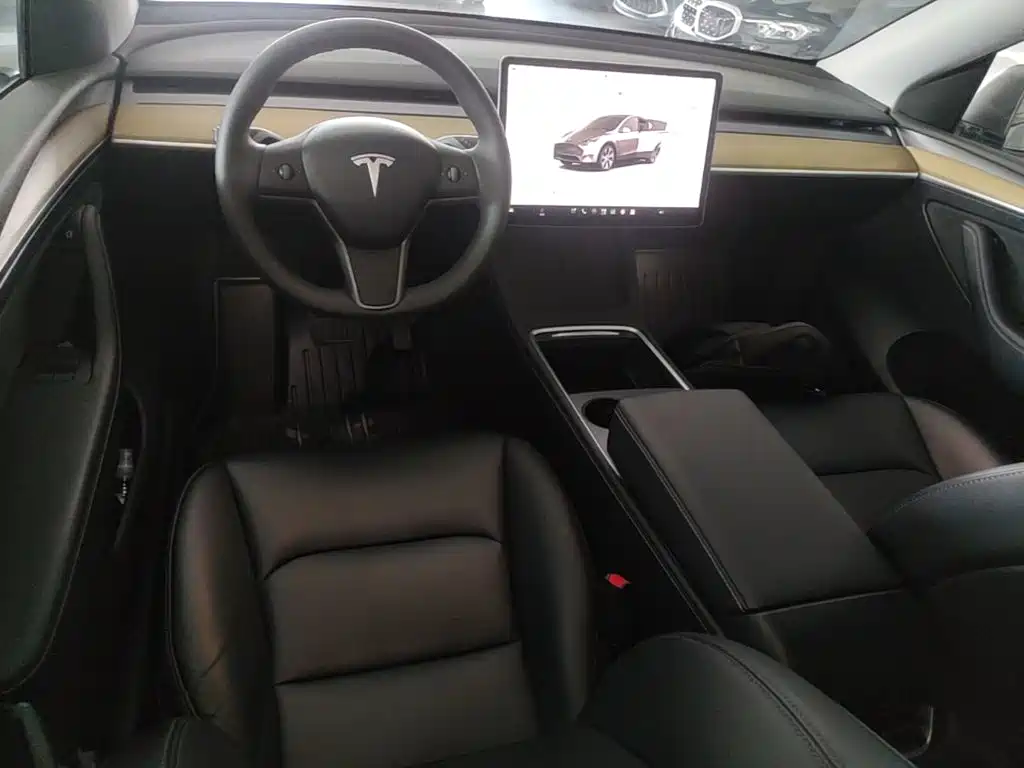 Tesla Model Y — миниатюра 10