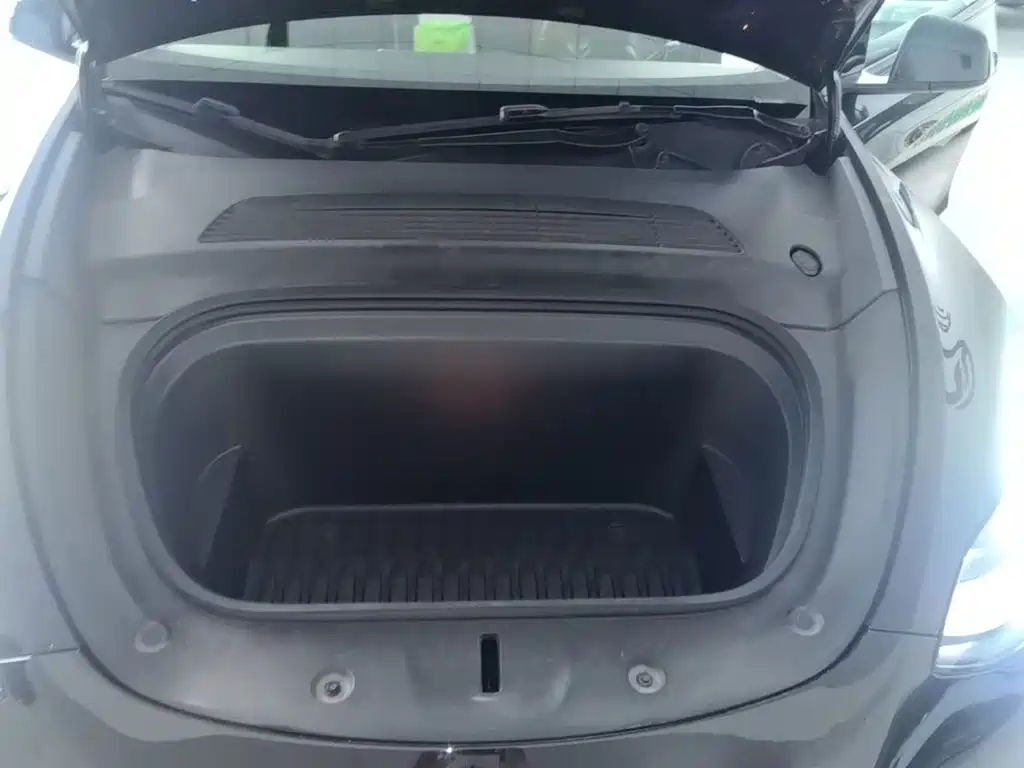 Tesla Model Y — миниатюра 20