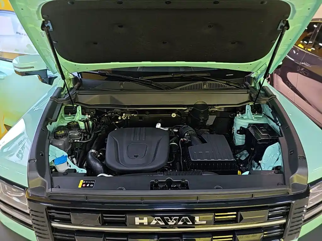 Haval Menglong New Energy — миниатюра 20