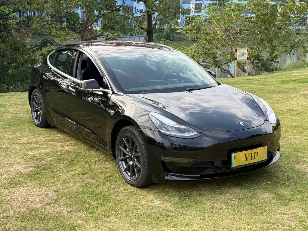 Tesla Model 3 — миниатюра 3