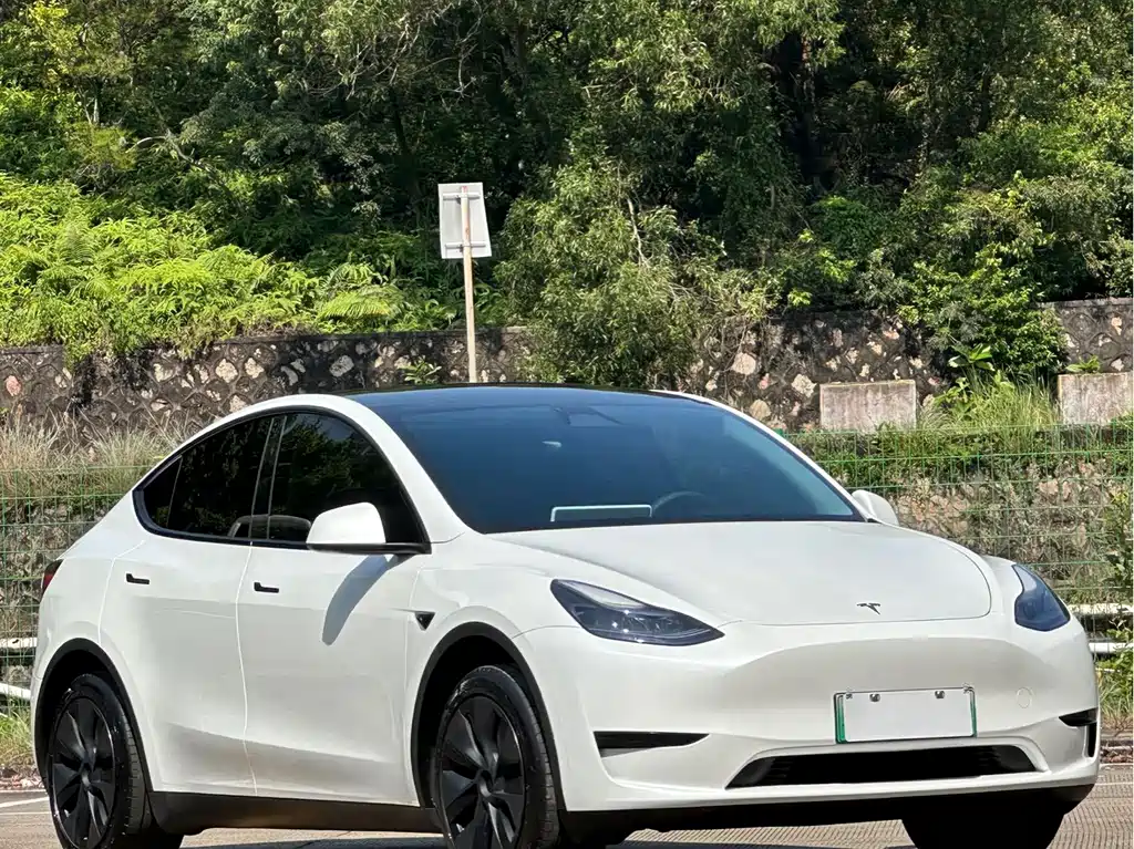 Tesla Model Y — миниатюра 3