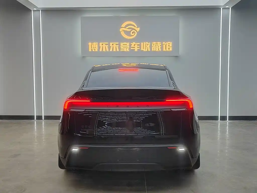 Tesla Model Y — миниатюра 5
