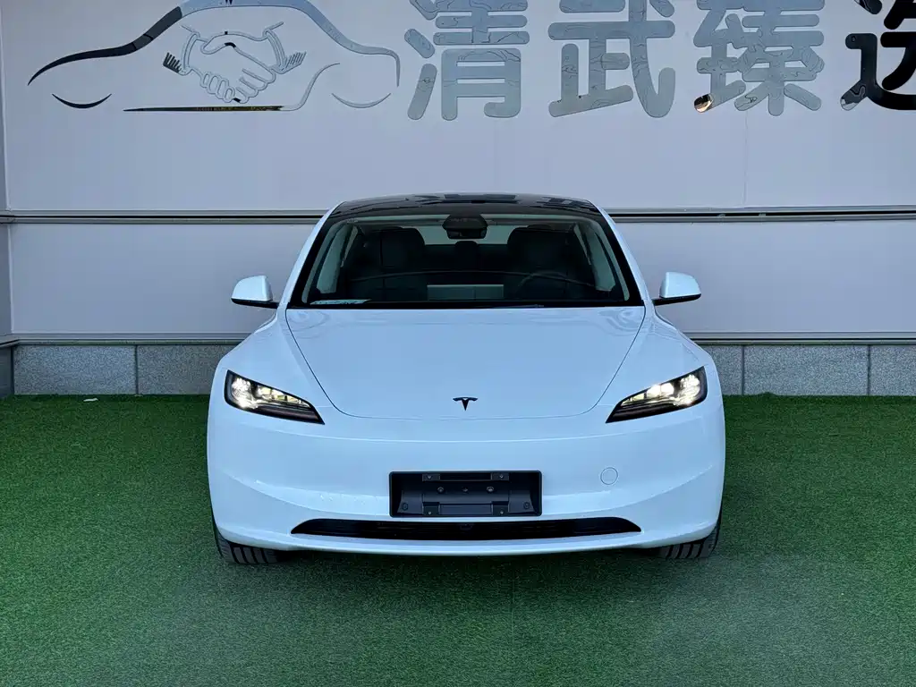 Tesla Model 3 — миниатюра 3