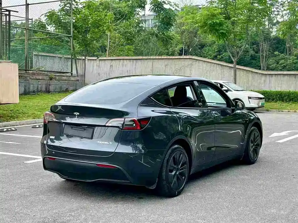 Tesla Model Y — миниатюра 7