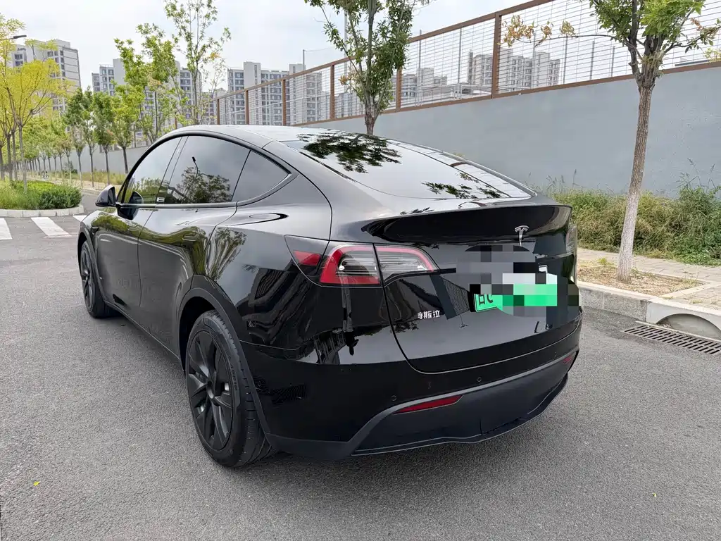 Tesla Model Y — миниатюра 9