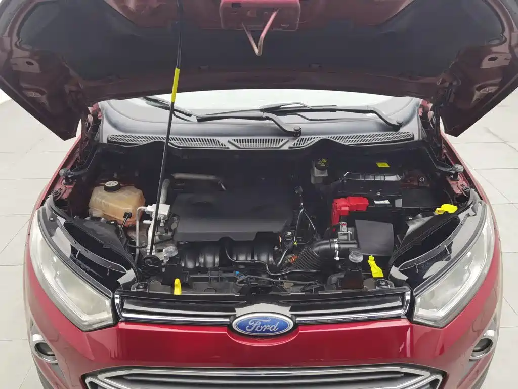 Ford Ecosport — миниатюра 6