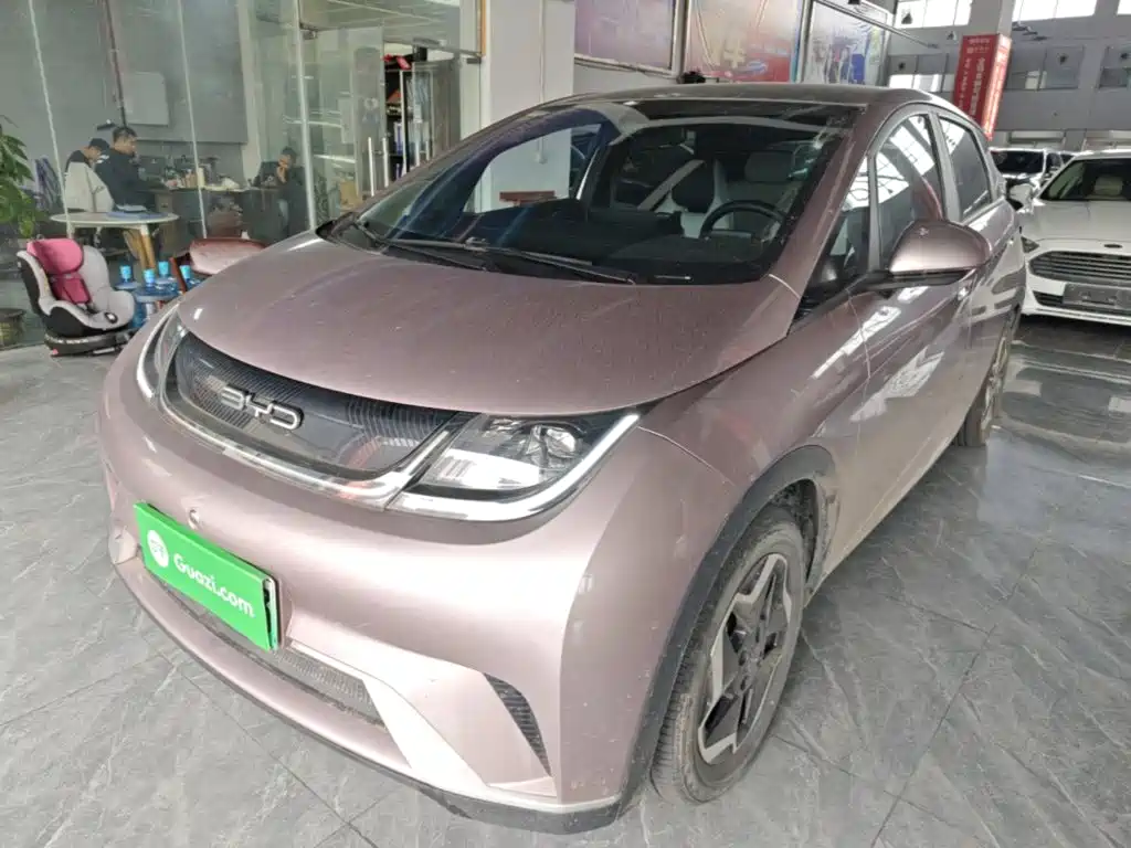 BYD Dolphin — миниатюра 2