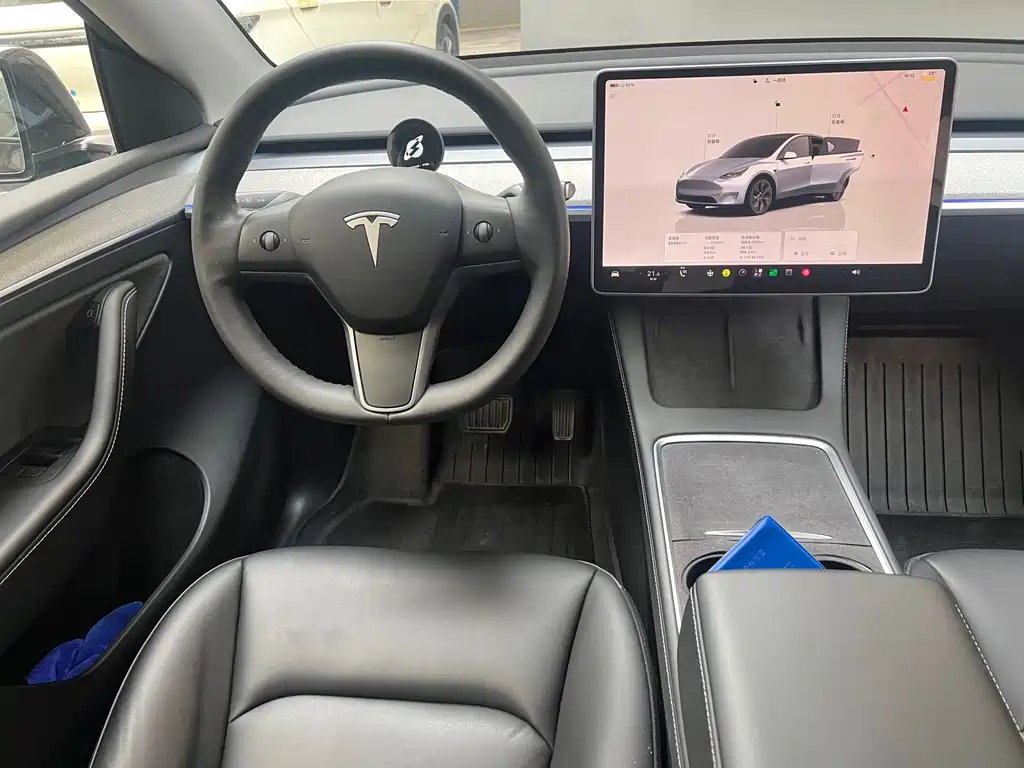 Tesla Model Y — миниатюра 6