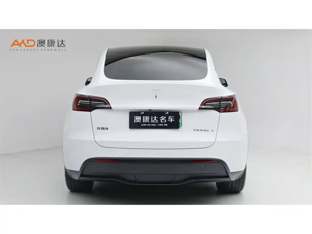 Tesla Model Y — миниатюра 4