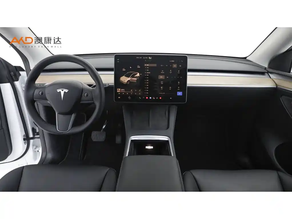 Tesla Model Y — миниатюра 5