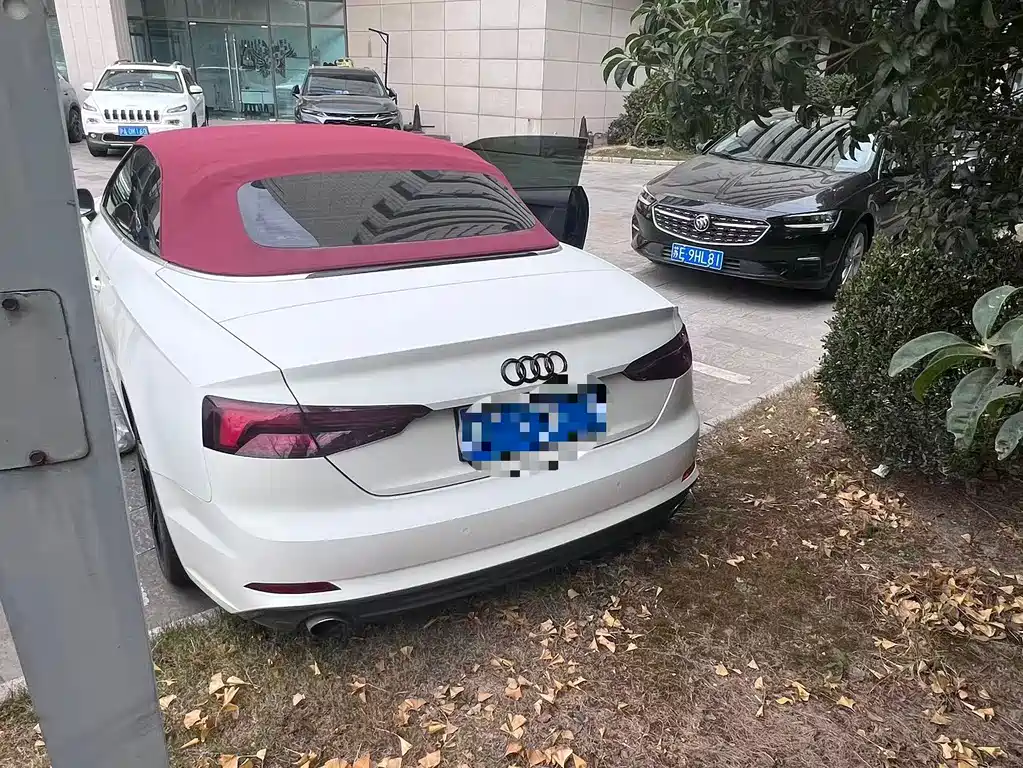 Audi A5 2020 Cabriolet 40 TFSI Fashion VI