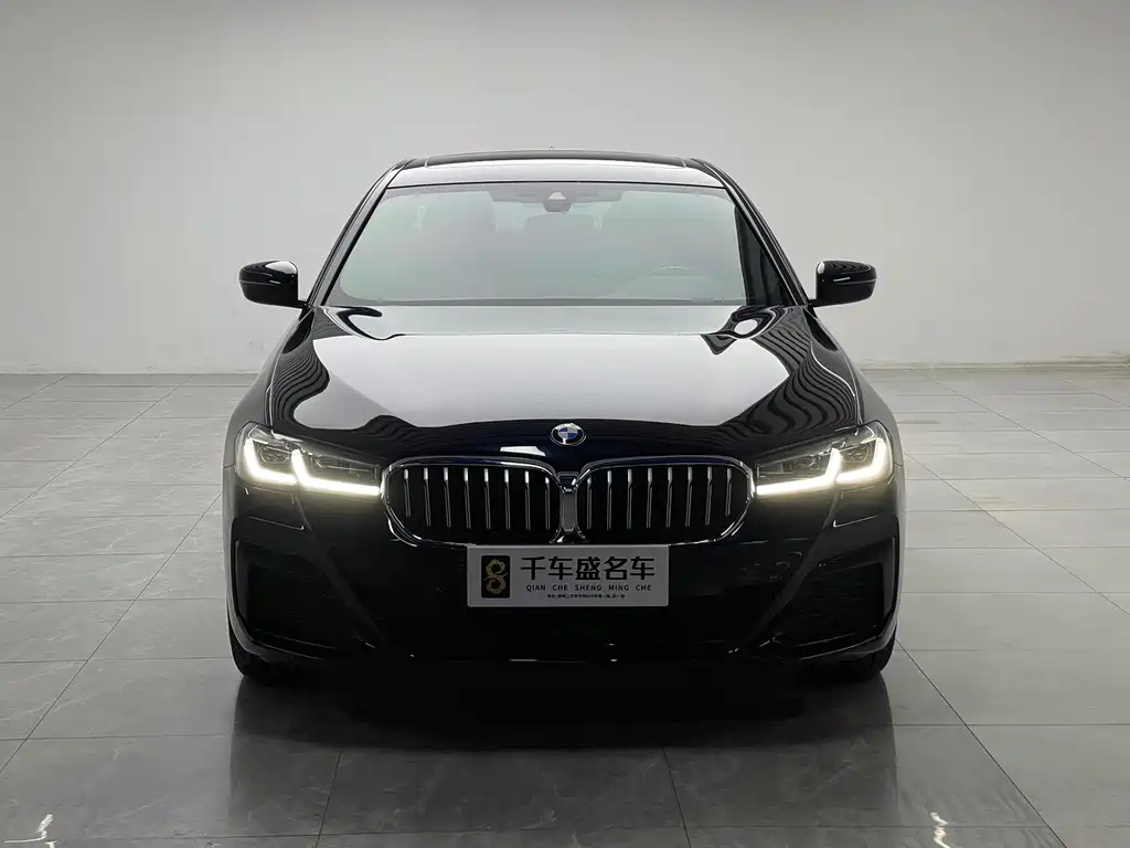 BMW 5 Series — миниатюра 2