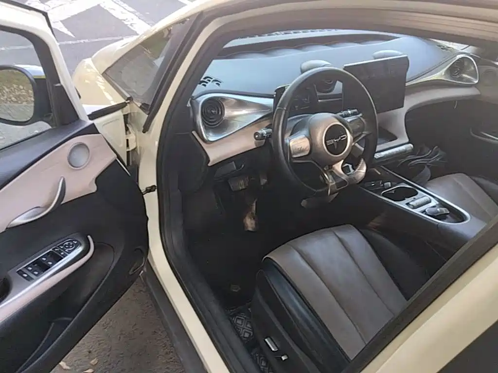 BYD Dolphin — миниатюра 16