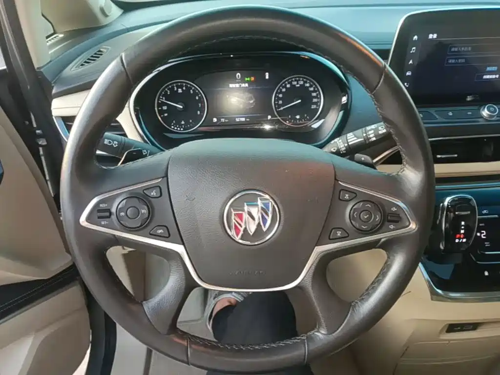 Buick GL8 — миниатюра 11