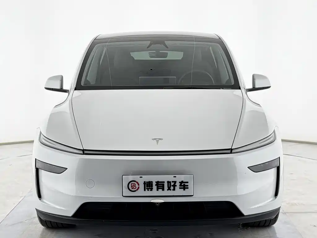 Tesla Model Y — миниатюра 3