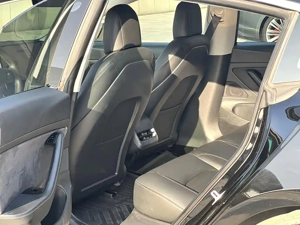 Tesla Model 3 — миниатюра 6
